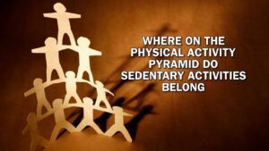 where on the physical activity pyramid do sedentary activities belong