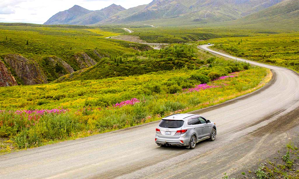 SUV on Scenic Mountain A road trip in Canada with wildflowers in a green valley