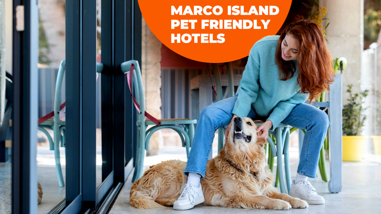 marco island pet friendly hotels
