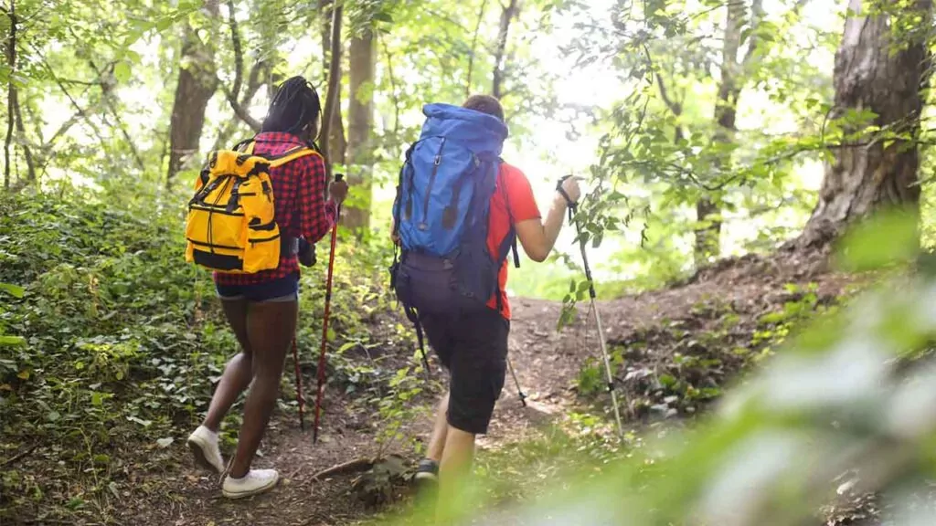 Two hikers with backpacks walking through a forest trail