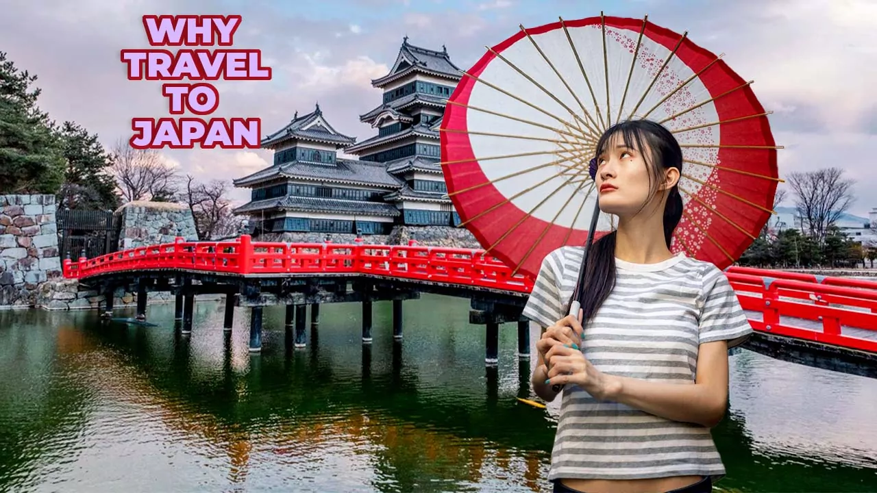 Why Travel to Japan