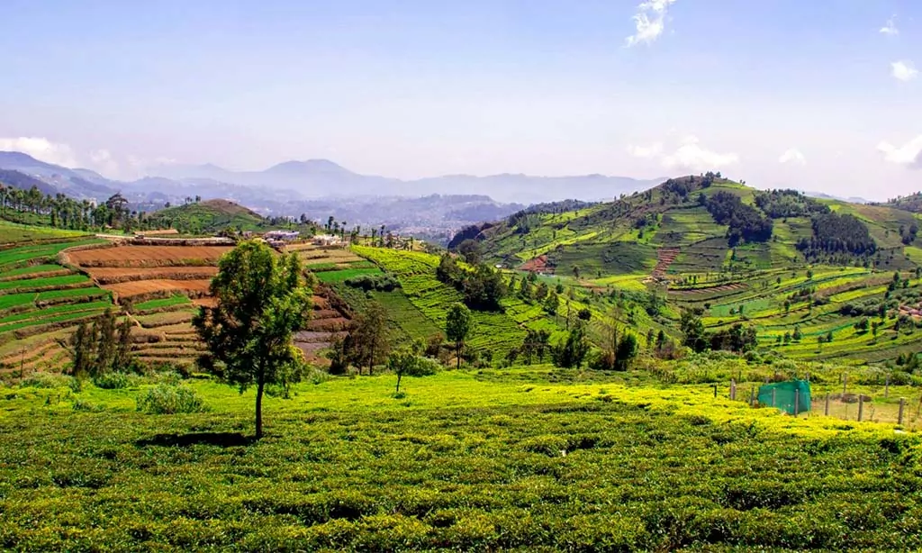 Coonoor, Tamil Nadu