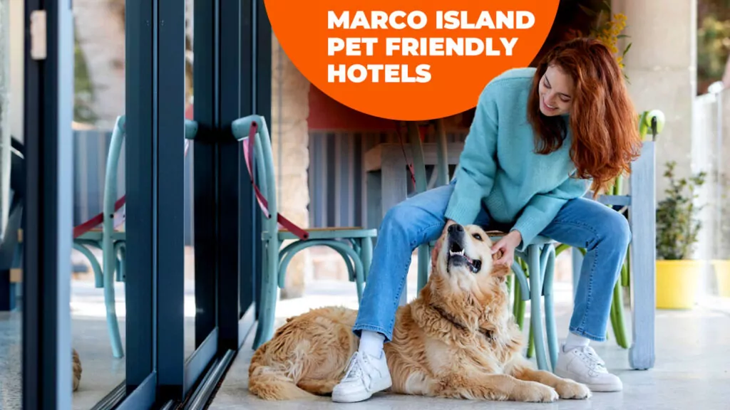 Discover the Best Marco Island Pet Friendly Hotels: A Complete Guide for Travelers with Pets