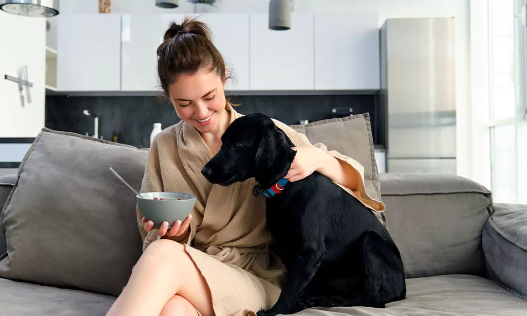 The Pet Friendly Hotel Boom: Why Marco Island Leads the Way