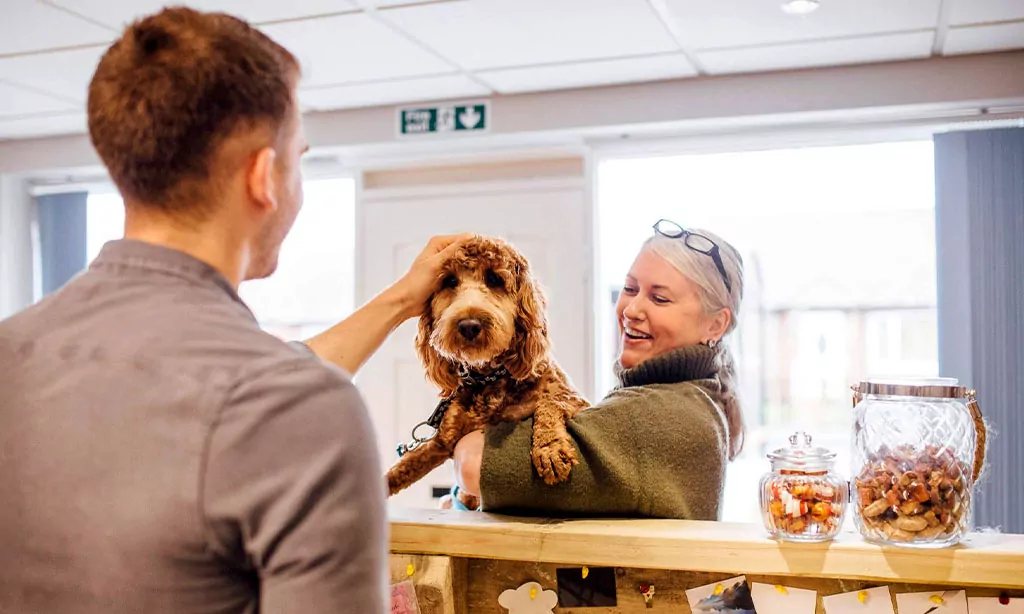 Vacation Rentals: The Flexible Option for Pet Owners