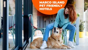 marco island pet friendly hotels