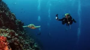 11 Magical Dive Sites In Raja Ampat Indonesia